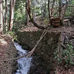 Maria Quinta 6 