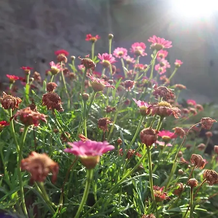 Casa de Férias Maria Quinta 6 