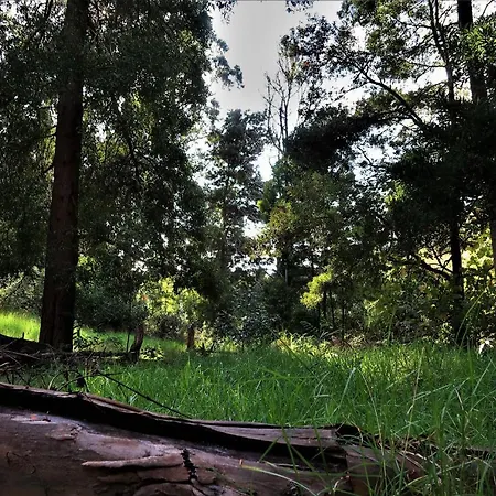 Nyaraló Maria Quinta 6 