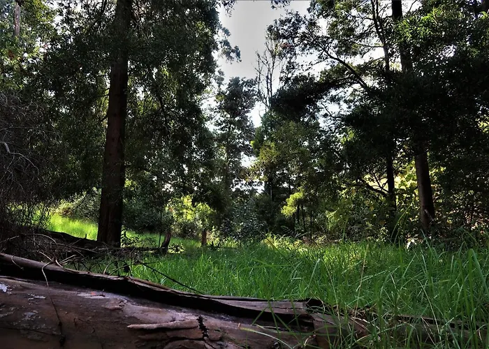 Tatil Evi Maria Quinta 6 