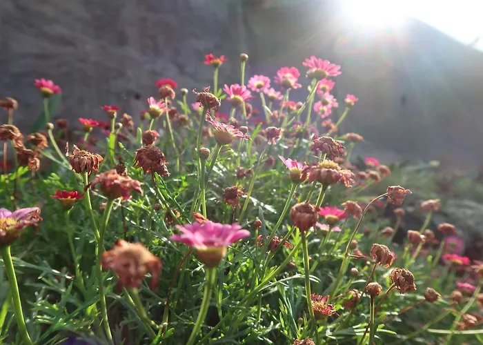 Tatil Evi Maria Quinta 6 